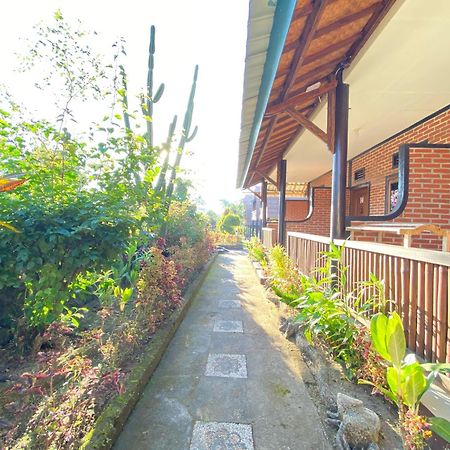 Green Orry Inn Тетебату Екстер'єр фото